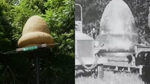 凯克斯堡坠物事件